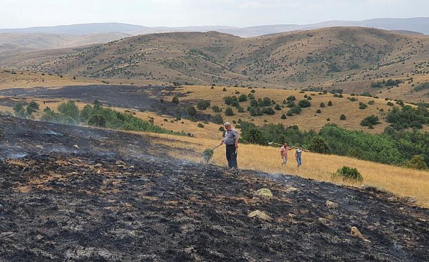 &Ccedil;obanın yaktığı ateş nedeniyle 20 hektarlık arazi k&uuml;l oldu