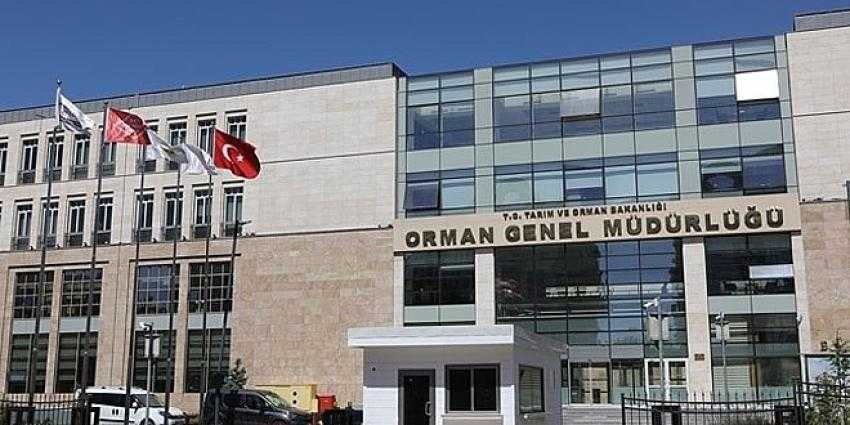Orman Genel M&uuml;d&uuml;rl&uuml;ğ&uuml; 700 daimi iş&ccedil;i alacak